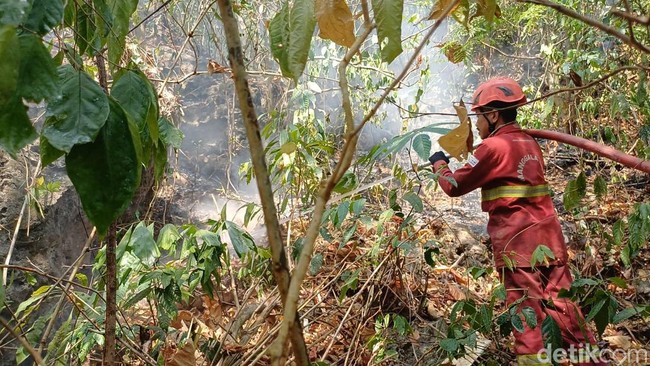 Karhutla Karst Pangkep Capai Zona Inti TN Babul, 26 Hektare Hangus