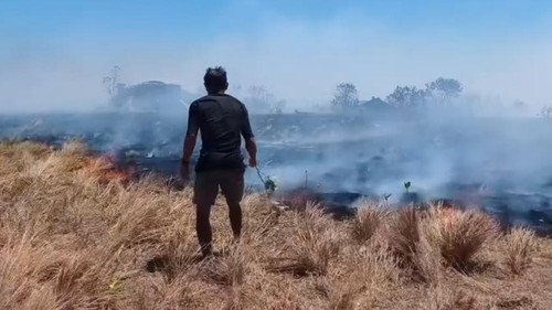 Kebakaran di Pulau Kenawa, Sumbawa Barat NTB, Minggu (4/10/2026). (Facebook @Rheno Psm).