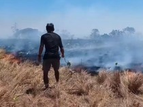 Kebakaran Hanguskan 5 Ha Kawasan Wisata Pulau Kenawa