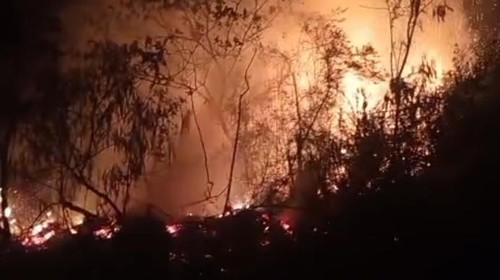 Kebakaran Kawasan Hutan Konservasi TWA Ruteng di Desa Golo Loni,  Kecamatan Rana Mese, Manggarai Timur, NTT (Dok. Pemkab Manggarai Timur)