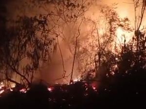 Video: Taman Wisata Alam Ruteng NTT Terbakar