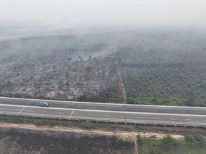BPBD Deteksi 579 Hotspot Karhutla di Sumsel, OKI Terbanyak