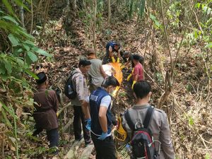 Video: 4 Hari Tak Terlihat, Kakek 75 Tahun Ditemukan Tewas di Hutan