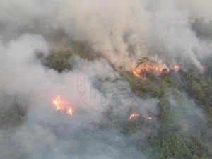 Karhutla di Kawasan Pelita Samarinda, Luas 9 Hektare-Ganggu Pengguna Jalan