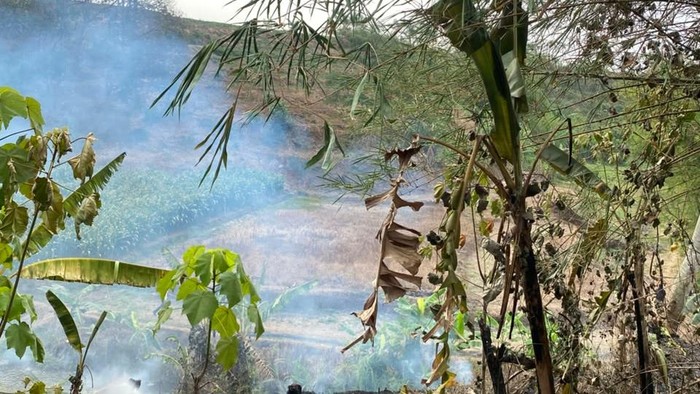 Kebakaran lahan di Cangkringan, Mijen, Kota Semarang, Senin (5/10/2026).