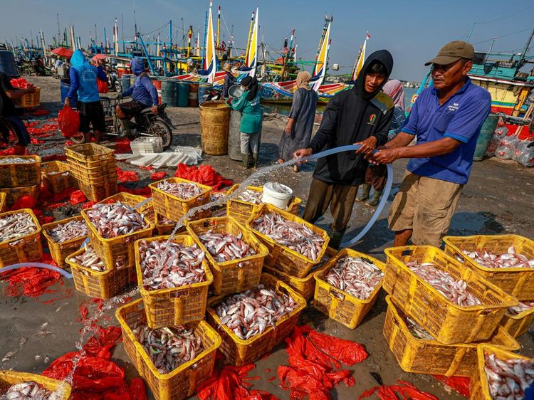 Nilai Tukar Nelayan Turun, Ini Penyebabnya