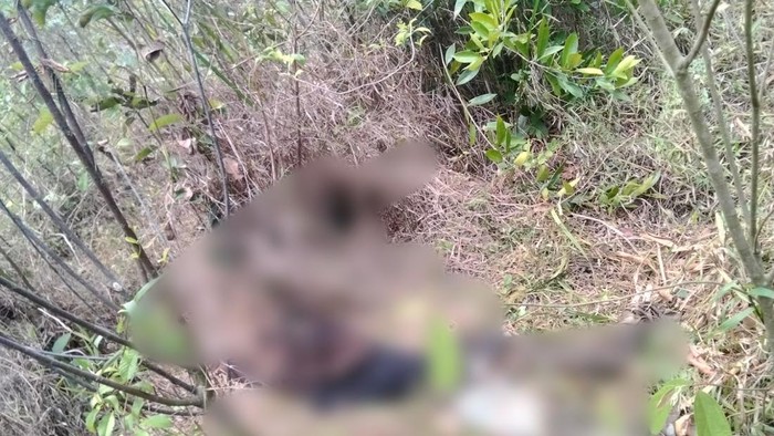 Penemuan jasad remaja di kebun Muara Enim