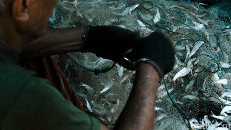 Pengolahan Ikan Kering di Kampung Nelayan Nambangan, Kenjeran, Surabaya