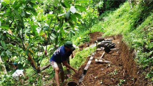 Polsek Seltim mengingatkan kepada petani atau pemilik kebun untuk intensifkan pengawasan saat memasuki musim panen.