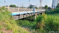 Sejumlah tanaman terlihat mengambang dan bergerombol hingga menutupi sebagian permukaan sungai.