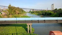 Meski demikian, air sungai masih terlihat mengalir di sela-sela eceng gondok yang memenuhi permukaan.