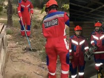 Diduga Cari Pasangan, Ular Sanca-Kobra Nyelonong ke Rumah Warga Kobar