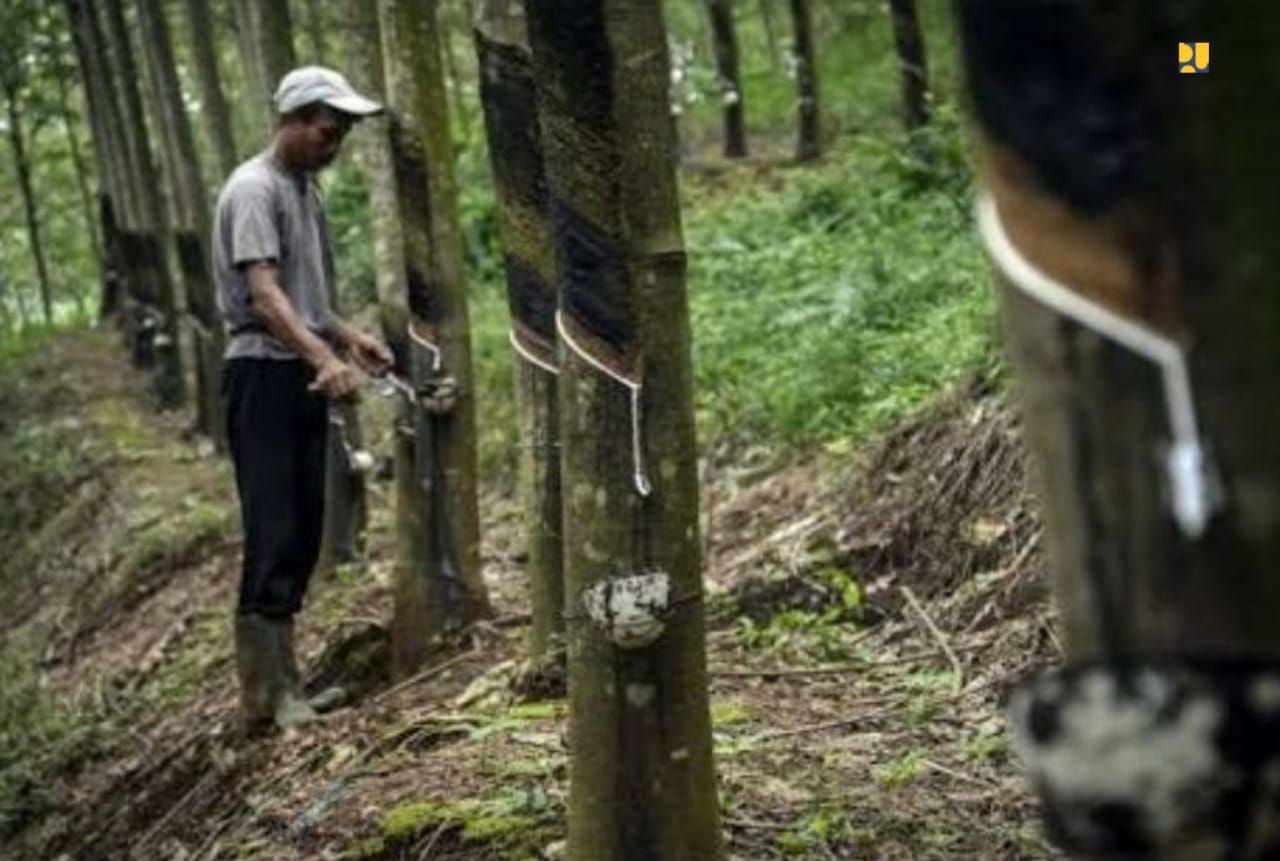 Petani Karet. Petani Karet. (Dok. Kementerian PUPR via Detikcom)