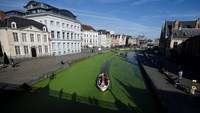 Sungai Lys di Belgia Mendadak Menghijau