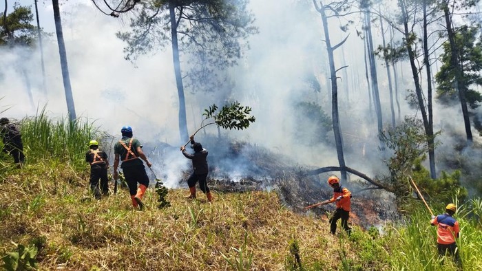 Tim gabungan melakukan pemadaman darat kebakaran di lereng Gunung Panderman