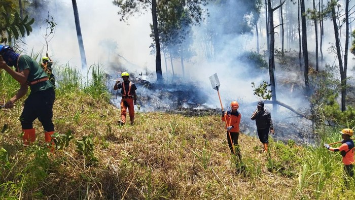 Tim gabungan melakukan pemadaman darat kebakaran di lereng Gunung Panderman.