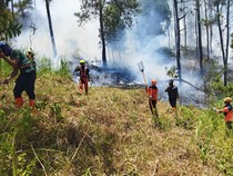 Oknum Bakar Serasah Diduga Picu Lereng Panderman Terbakar Lagi