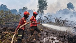 Personel Gabungan Tangani Karhutla di Muba, Operasi Darat-Udara Diperkuat