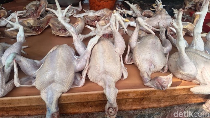 Ayam potong di Medan. (Kartika Sari/detikSumut)