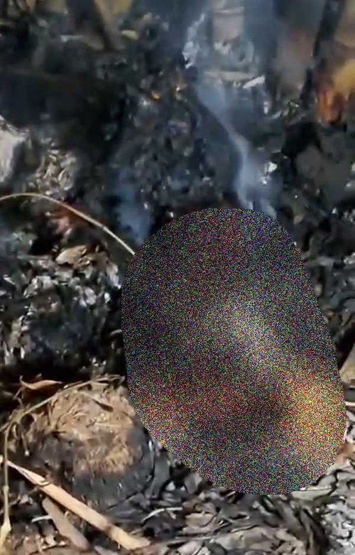 Seorang ibu berinisial M (57) ditemukan tewas terbakar di belakang rumahnya di Dusun Lendang Paok, Desa Selebung, Kecamatan Batukliang, Lombok Tengah, Selasa (6/10/2026). (Tangkapan layar)