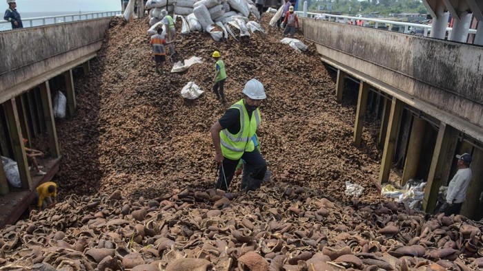 Pekerja melakukan bongkar muat kopra di Pelabuhan Pantoloan, Palu, Sulawesi Tengah, Selasa (6/10/2026). Pusat Data dan Sistem Informasi Pertanian Kementerian Pertanian menargetkan produksi kopra berfluktuasi pada kisaran 2,822,86 juta ton selama periode 20232028 dengan rata-rata pertumbuhan sekitar 0,38 persen per tahun. ANTARA FOTO/Muhammad Rifki Hasan