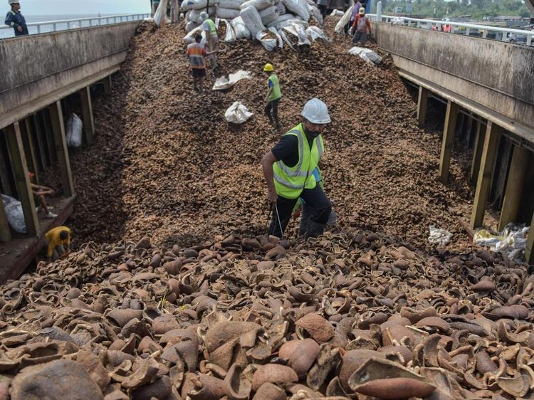 Target Produksi Kopra Indonesia Tembus 2,86 Juta Ton pada 2028