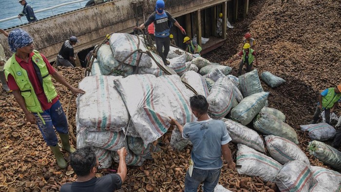 Pekerja melakukan bongkar muat kopra di Pelabuhan Pantoloan, Palu, Sulawesi Tengah, Selasa (6/10/2026). Pusat Data dan Sistem Informasi Pertanian Kementerian Pertanian menargetkan produksi kopra berfluktuasi pada kisaran 2,822,86 juta ton selama periode 20232028 dengan rata-rata pertumbuhan sekitar 0,38 persen per tahun. ANTARA FOTO/Muhammad Rifki Hasan