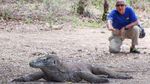 TN Komodo Makin Diburu Wisatawan, Kunjungan Tembus 379 Ribu Orang