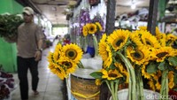 Berbeda dari bunga sintetis, pedagang mengingatkan bahwa bunga potong segar memerlukan perawatan khusus agar tetap tahan lama setelah dibeli.
