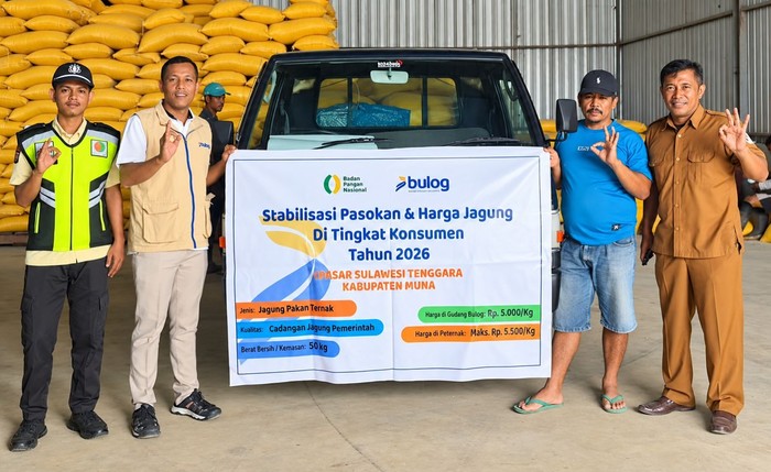 BULOG Percepat Penyaluran SPHP Jagung Pakan, Pastikan Stok Nasional Cukup