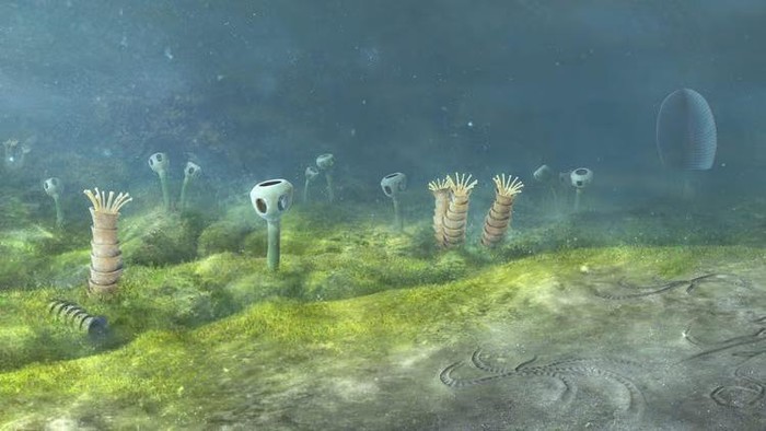 Fosil hewan pertama di Bumi, yang ada di dasar laut Ediacaran, Namibia, Afrika Barat Daya - 543 juta tahun yang lalu.
