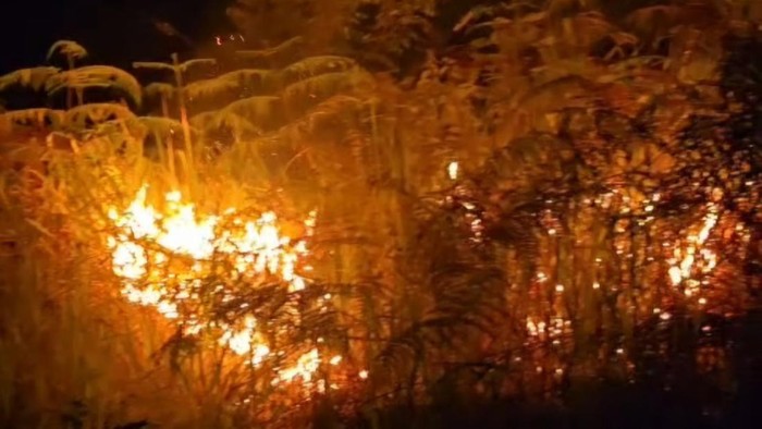 Karhutla di Sungau Hijau 4 Kampar (Foto: Dok BPBD Kampar)