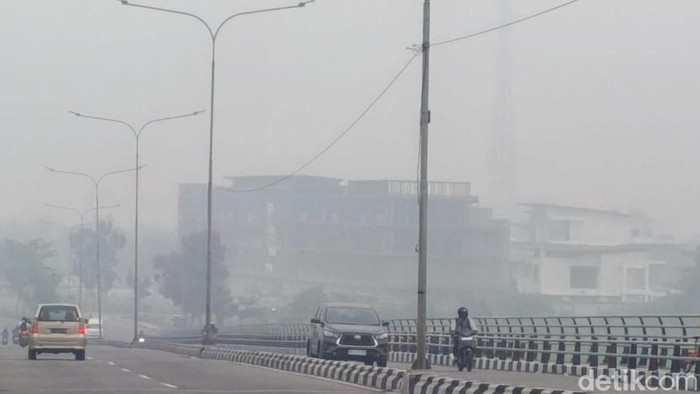 Kondisi karhutla hari ini. (Foto: Raja Adil Siregar/detikSumut).