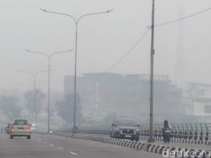 Sepanjang Karhutla di Riau, 28 Ribu Jiwa Terdampak ISPA