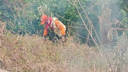 BPBD Jatim Pastikan Kebakaran Gunung Kawinajang Telah Padam