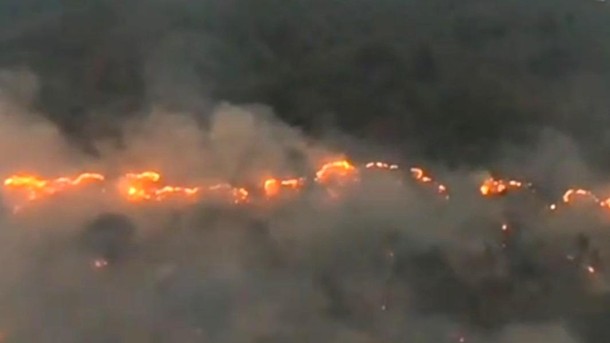 #PrayforKalimantan Menggema, Karhutla Makin Parah Ancam Permukiman Warga