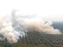 Karhutla Tak Kunjung Usai, Tagar #PrayforKalimantan Ramai di Medsos