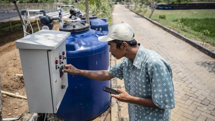 Petani memeriksa indikator suhu tanah tanaman cabai melalui gawai dengan teknologi Internet of Things (IoT) dalam sistem pertanian cerdas (smart farming) di Demplot Manajemen Pangan (DMP) Tambangan, Mijen, Semarang, Jawa Tengah, Kamis (8/10/2026). Demplot Manajemen Pangan (DMP) Tambangan Dinas Pertanian Kota Semarang menerapkan digitalisasi pertanian berbasis Internet of Things (IoT) yang dioperasikan melalui sistem aplikasi pada gawai untuk mengatur penyiraman, pemupukkan, serta memantau suhu dan kelembapan, sehingga perawatan tanaman menjadi lebih efisien dan produksi berbagai jenis sayuran di lahan seluas 5.000 meter persegi tersebut dapat lebih optimal. ANTARA FOTO/Aprillio Akbar/YU