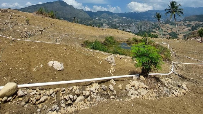 Petani di Enrekang tidak bisa menanam bawang selama kemarau karena kekeringan.