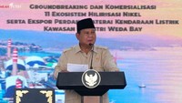 Sambangi Weda Bay, Prabowo: Saya Lihat Masa Depan Indonesia Cerah
