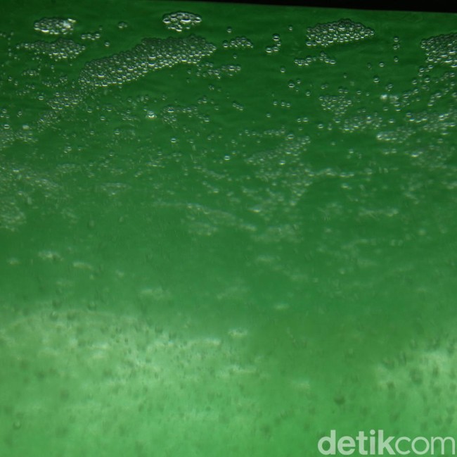 Teknologi Mikroalga BRIN Serap 5,5 Ton CO2 Setahun