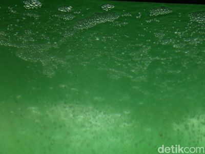 Teknologi Mikroalga BRIN Serap 5,5 Ton CO2 Setahun