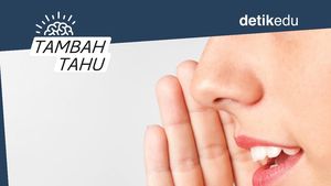 Video Tambah Tahu: Sering Dengar Info A1? Ternyata Ada Asal-usulnya