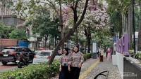 Para pejalan kaki menyempatkan foto di bawah pohon tabebuya di kawasan Cikini. (Foto Vicky Fadly)