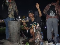 Pakar ITS Ungkap Sinyal Bahaya di Balik Fenomena Ikan Mabuk Surabaya