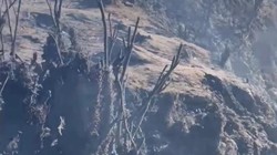 Pendakian Gunung Mambulilling Mamasa Ditutup Imbas Karhutla