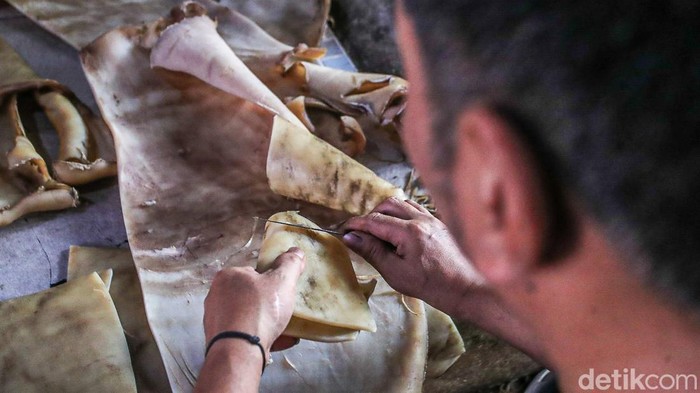 Seorang pekerja menjemur kulit sapi yang akan diolah menjadi kerupuk kulit di rumah produksi Cap Tiga Bintang, Jakarta, Jumat (9/10/2026). Penjemuran dilakukan hingga kulit berubah warna menjadi kecokelatan sebelum memasuki tahap pengolahan berikutnya.