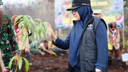 Hijaukan Lahan Eks Karhutla, Bupati Afni: Jangan Sampai Jadi Kebun Sawit