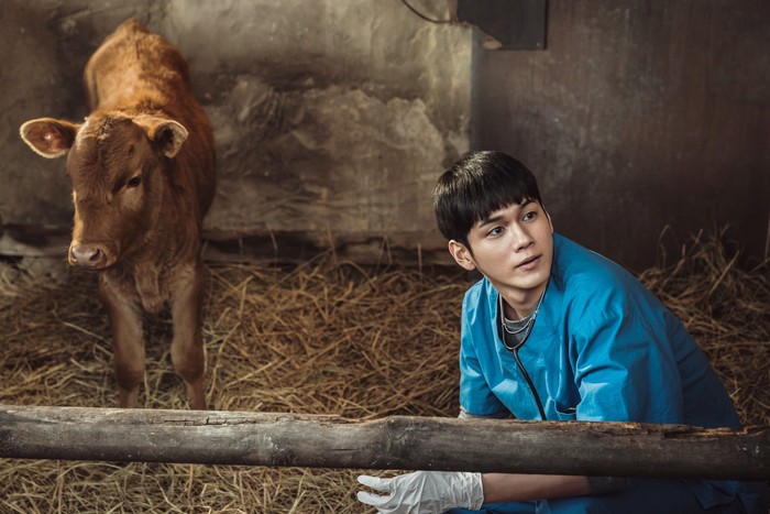 Film Korea Cattle Run (2026).