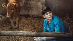 Film Korea Cattle Run Siap Tayang Usai Rampung 5 Tahun Lalu